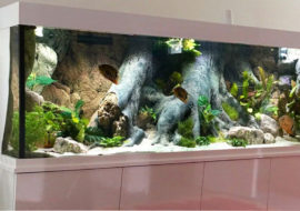 Оформление аквариума псевдорека в Москве и Московской области