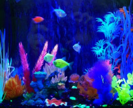 ГлоФиш аквариум флюоресцентной подсветкой