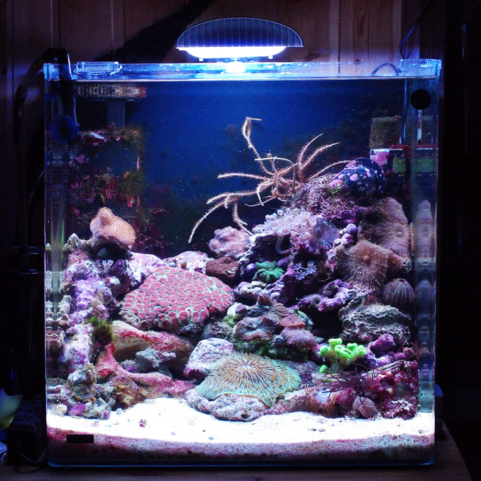 морской нано аквариум