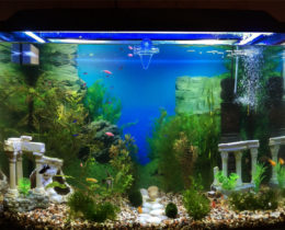 Рыбный аквариум с пластиковыми декорациями
