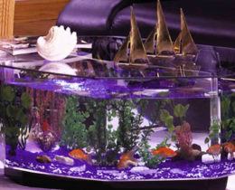 Журнальный стол аквариум в интерьере отеля