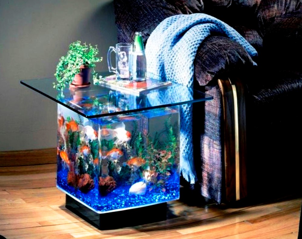 Эстетичный аквариум